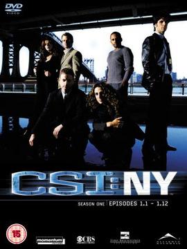 CSI: NY Season 1