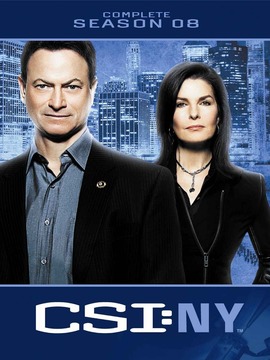 CSI: NY Season 8