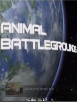 Animal Battlegrounds