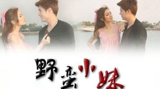野蛮小妹（2008年电视剧）