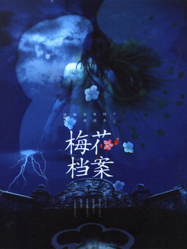 梅花档案剧情介绍