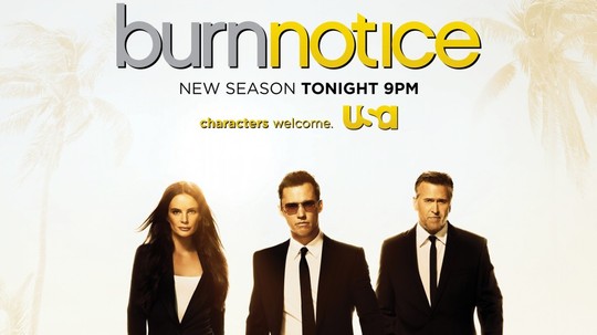 火线警告第六季（2012年电视剧）