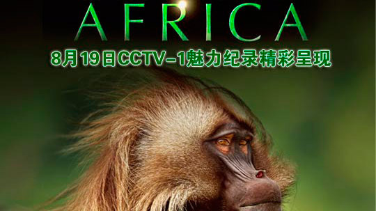 非洲（2013年电视剧）