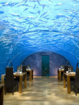 המסעדות המוזרות בעולם