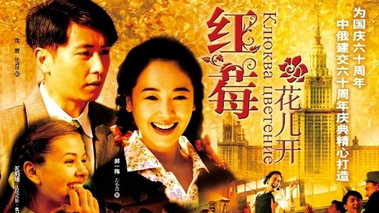 红莓花儿开（2009年电视剧）