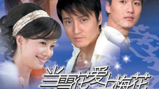 当雪花爱上梅花（2007年电视剧）