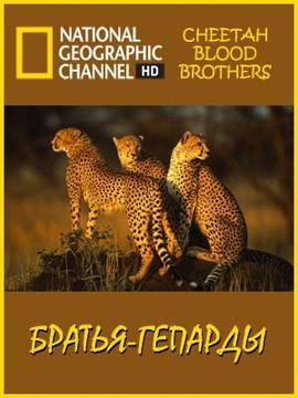 猎豹生死兄弟