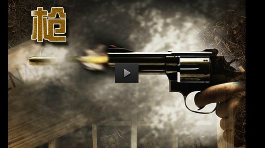 枪（2013年电视剧）