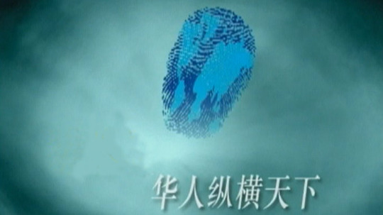 华人纵横天下（2002年电视剧）