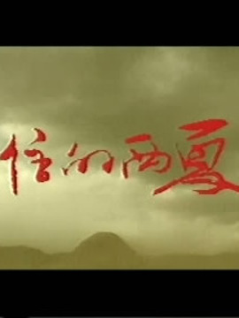 尘封不住的西夏