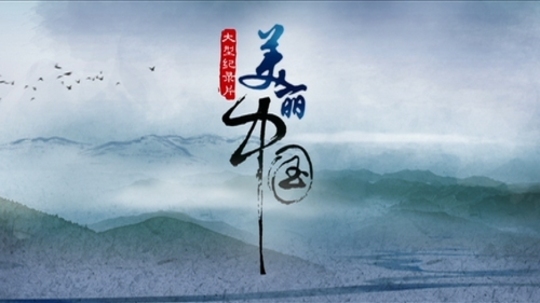 美丽中国（2008年电视剧）