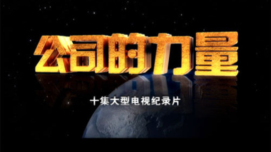 公司的力量（2010年电视剧）