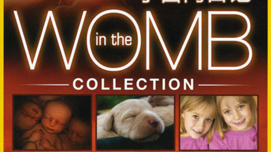 子宫日记（2005年电视剧）