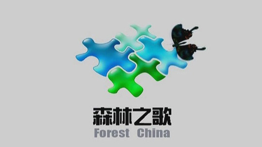 森林之歌（2010年电视剧）