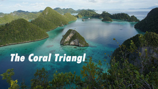 珊瑚大三角（0年电视剧）