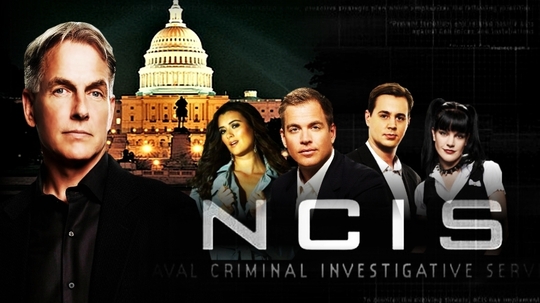 海军罪案调查处第七季（2009年电视剧）