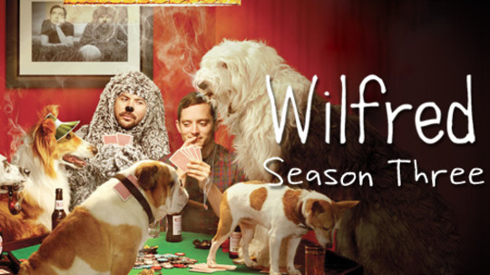 犬友笑传第三季（2013年电视剧）