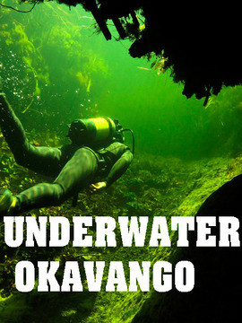 奥卡凡哥水世界