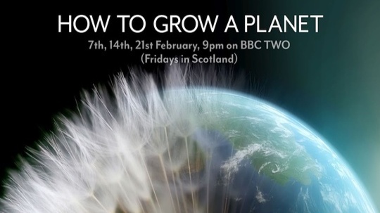 地球成长记（2012年电视剧）