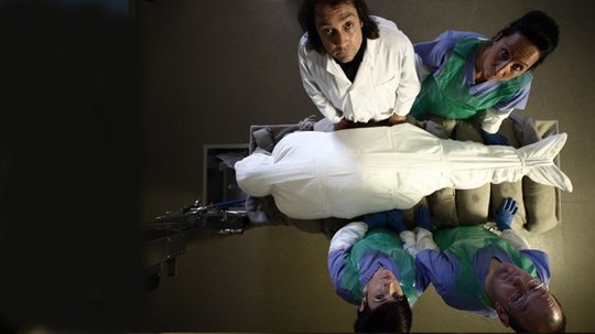 木乃伊黄金比例（2011年电视剧）