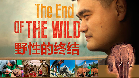 野性的终结（2014年电视剧）