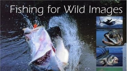 荒野垂钓（0年电视剧）