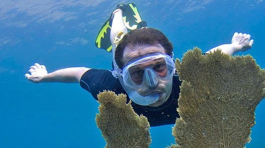 吉米与鲸语者（2012年电视剧）