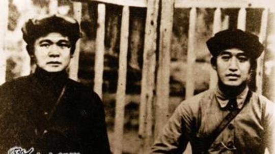 大将徐海东（2010年电视剧）