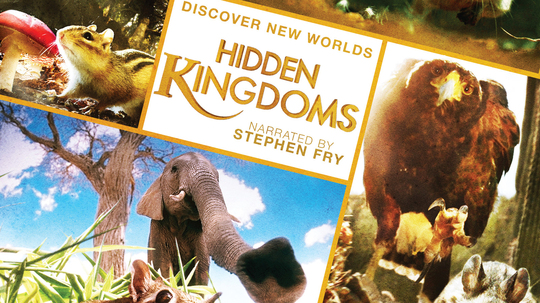 大世界小动物（2014年电视剧）