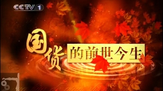 国货的前世今生（2010年电视剧）