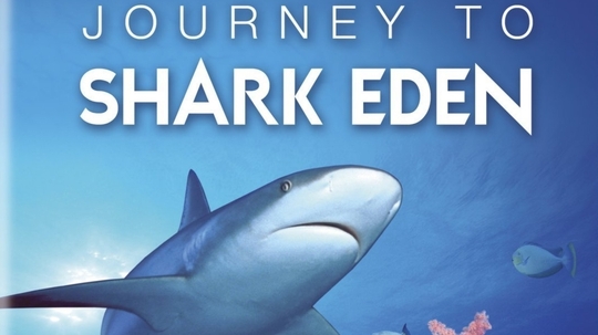 鲨鱼伊甸园（2010年电视剧）