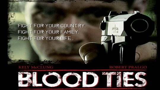 血情（2007年电视剧）