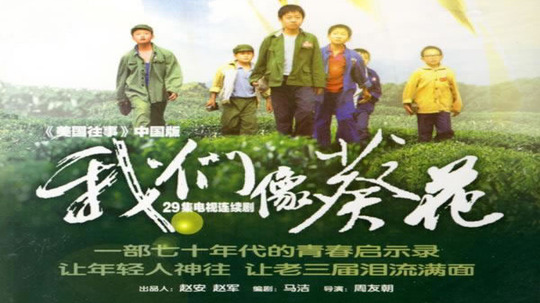 我们像葵花（2007年电视剧）