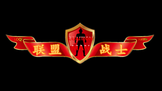 联盟战士（2016年电视剧）