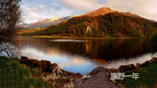 原野一年（0年电视剧）