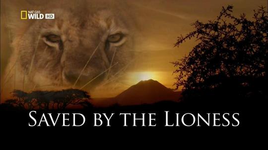 救命母狮（2012年电视剧）