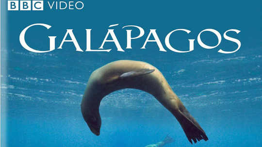 加拉帕戈斯（2006年电视剧）
