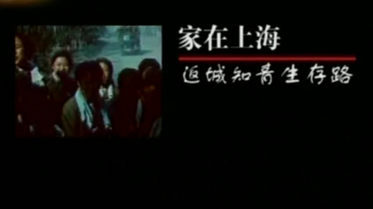 家在上海（2014年电视剧）