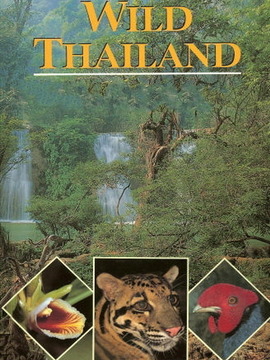 泰国野生世界