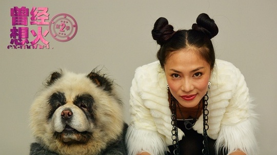 曾经想火第二季（2014年电视剧）