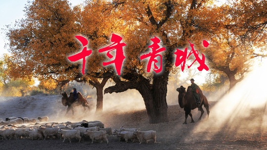 千年青城（2014年电视剧）