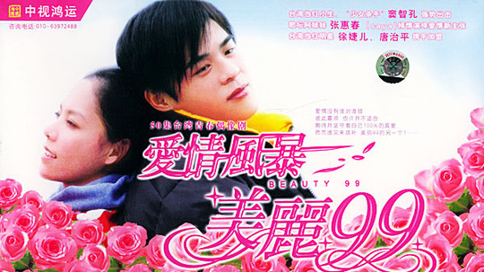 爱情风暴美丽99（2004年电视剧）