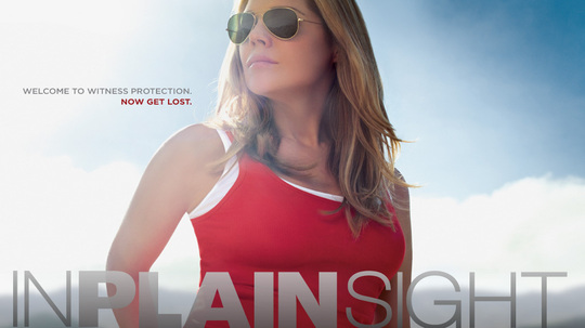 平地风云第一季（2008年电视剧）