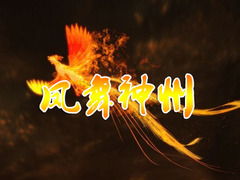 凤舞神州