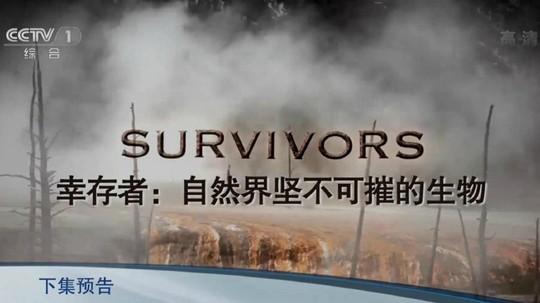 幸存者：自然坚不可摧的生物（2014年电视剧）