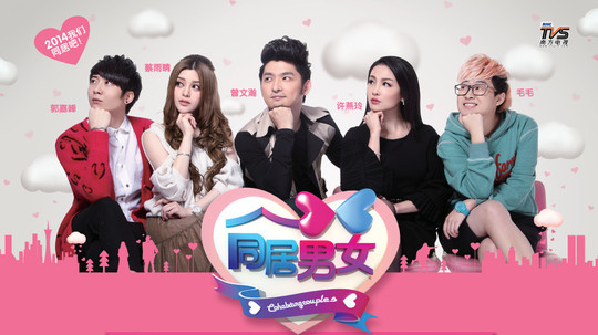 同居男女（2013年电视剧）