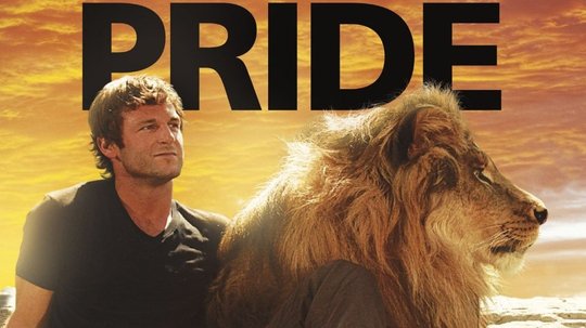 拯救骄傲的狮子（2010年电视剧）