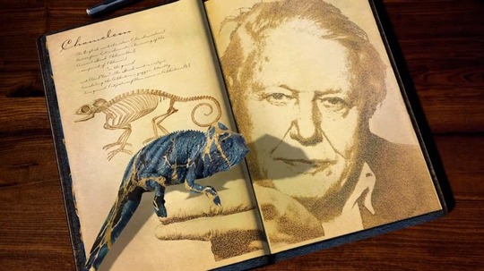 自然趣闻（2013年电视剧）