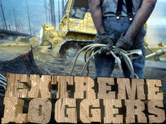 Extreme Loggers