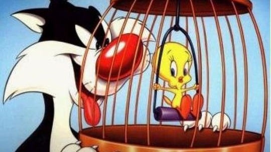 傻大猫和崔弟（0年电视剧）